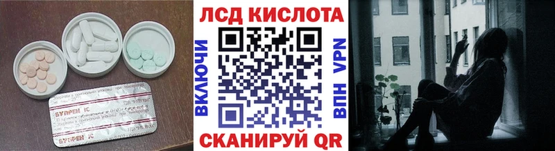LSD-25 экстази кислота  купить наркотики сайты  Каргополь 