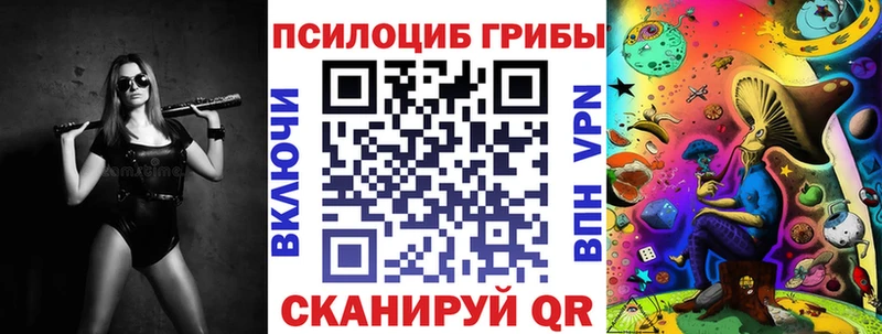 блэк спрут ССЫЛКА  Каргополь  Псилоцибиновые грибы MAGIC MUSHROOMS 