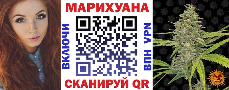 Шишки марихуана конопля  Каргополь 